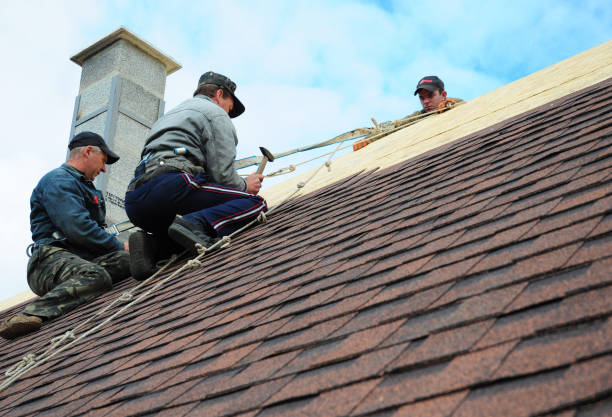 Best Roof Gutter Cleaning  in Yorkville, NY